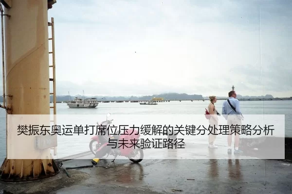 樊振东奥运单打席位压力缓解的关键分处理策略分析与未来验证路径