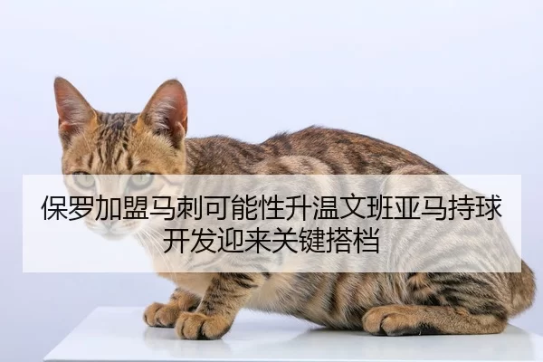 bao-luo-jia-meng-ma-ci-ke-neng-xing-sheng-wen-wen-ban-ya-ma-chi-qiu-kai-fa-ying-lai-guan-jian-da-dang-2-188.jpg