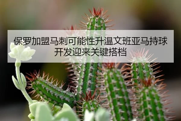 保罗加盟马刺可能性升温文班亚马持球开发迎来关键搭档