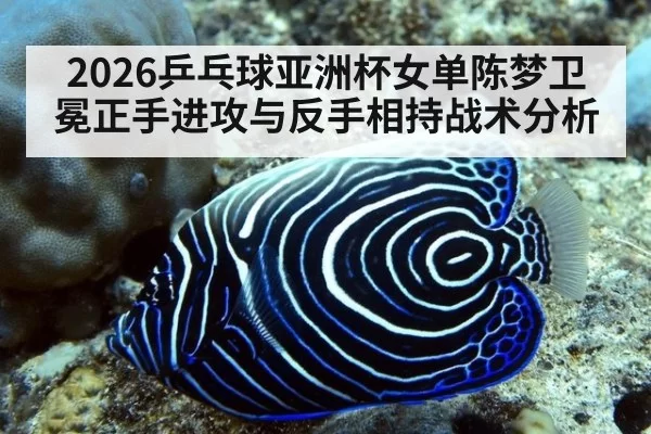 2026乒乓球亚洲杯女单陈梦卫冕正手进攻与反手相持战术分析
