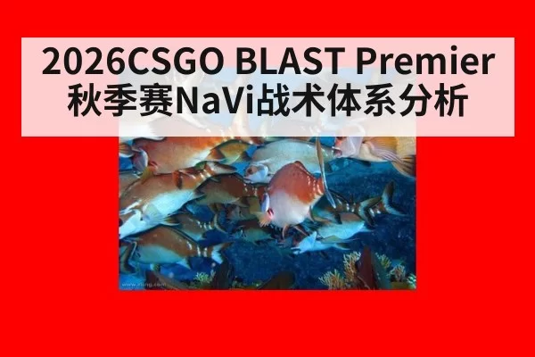 2026CSGO BLAST Premier秋季赛NaVi战术体系分析